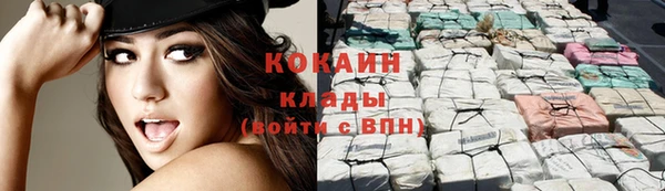 ГАЛЛЮЦИНОГЕННЫЕ ГРИБЫ Рославль