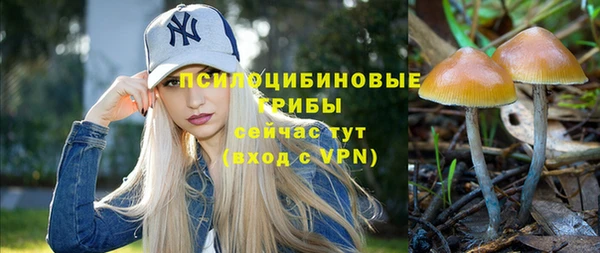 не бодяженный Абинск